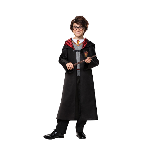 Harry Potter Disguise